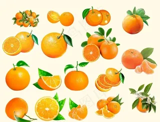 橘子图片