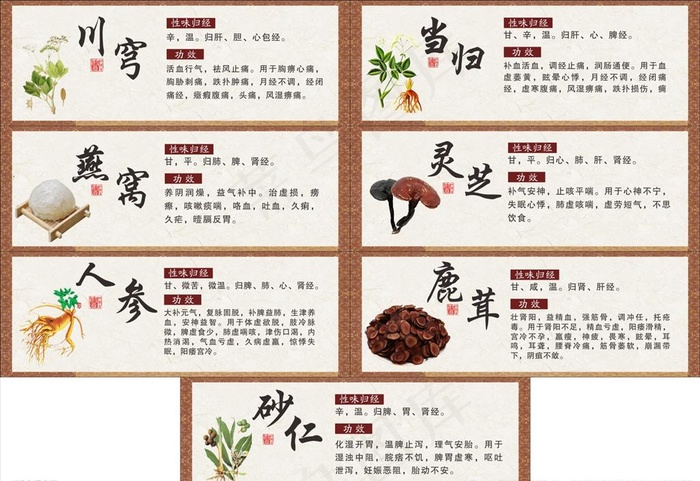 中医药草图片(3000X2000)cdr矢量模版下载