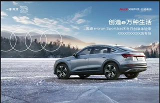 奥迪etron冰雪图片