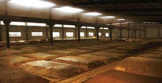 白酒酿造窖池图片