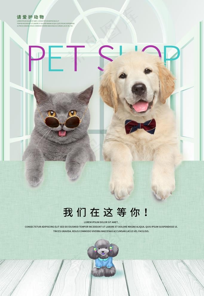 宠物海报图片