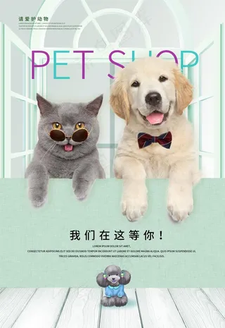 宠物海报图片