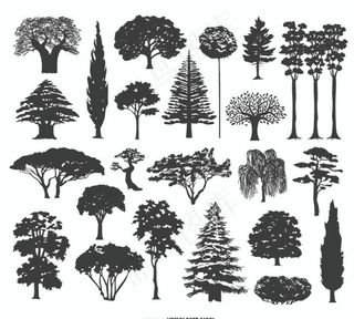 手绘树木图片
