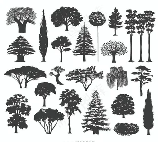 手绘树木图片