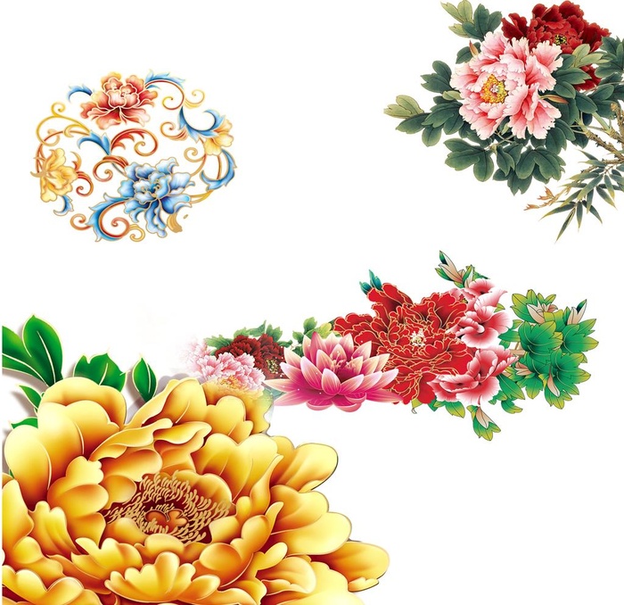 牡丹花图片(2953x2953)psd模版下载