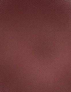 皮质皮革纹理图片