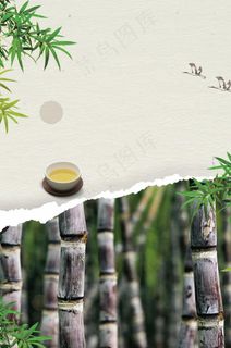 甘蔗图片 甘蔗图片