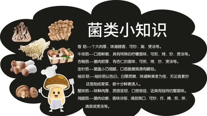 菌类小知识图片cdr矢量模版下载