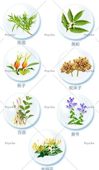 中草药素材合集图片