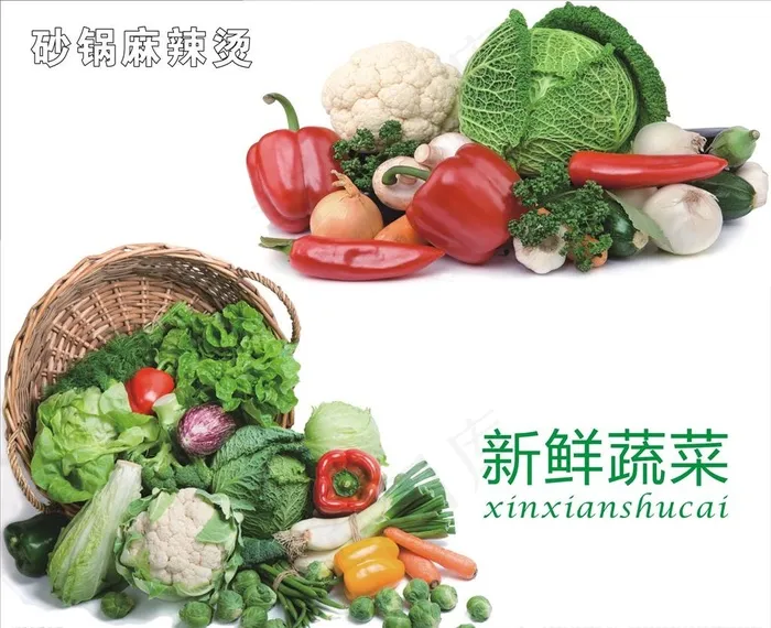 新鲜蔬菜图片(210X297)cdr矢量模版下载