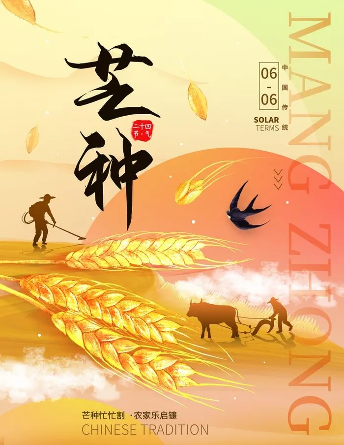 芒种插画           图片