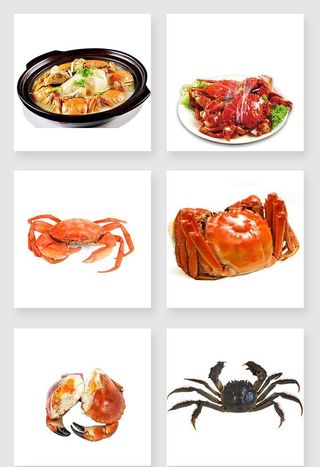 免扣大闸蟹素材图片