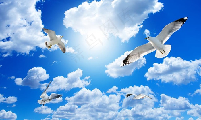 海鸥蓝天白云吊顶图片