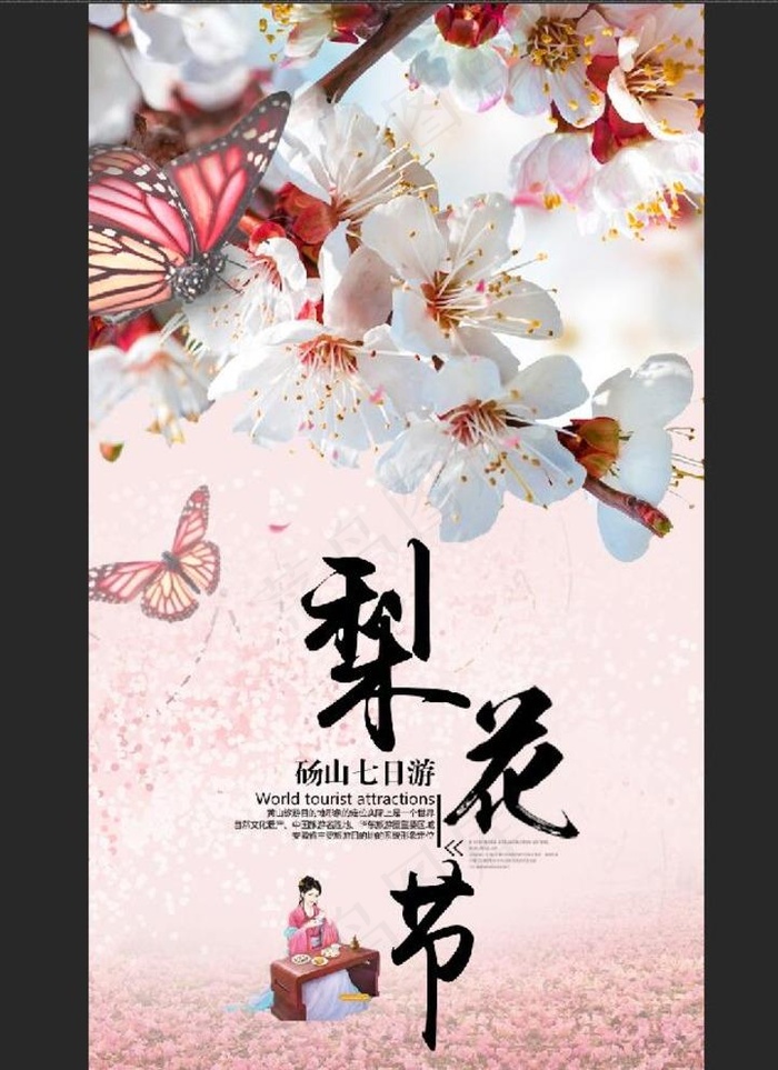 梨花节图片