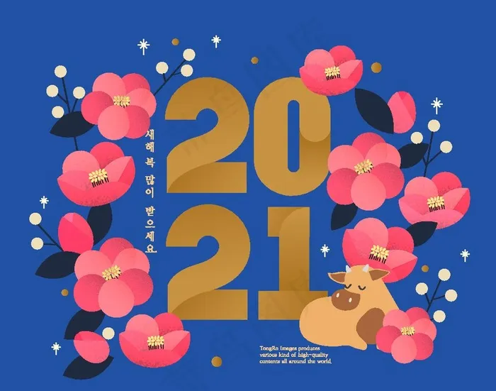 2021数字图片ai矢量模版下载