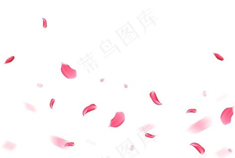 花瓣素材图片