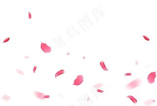 花瓣素材图片