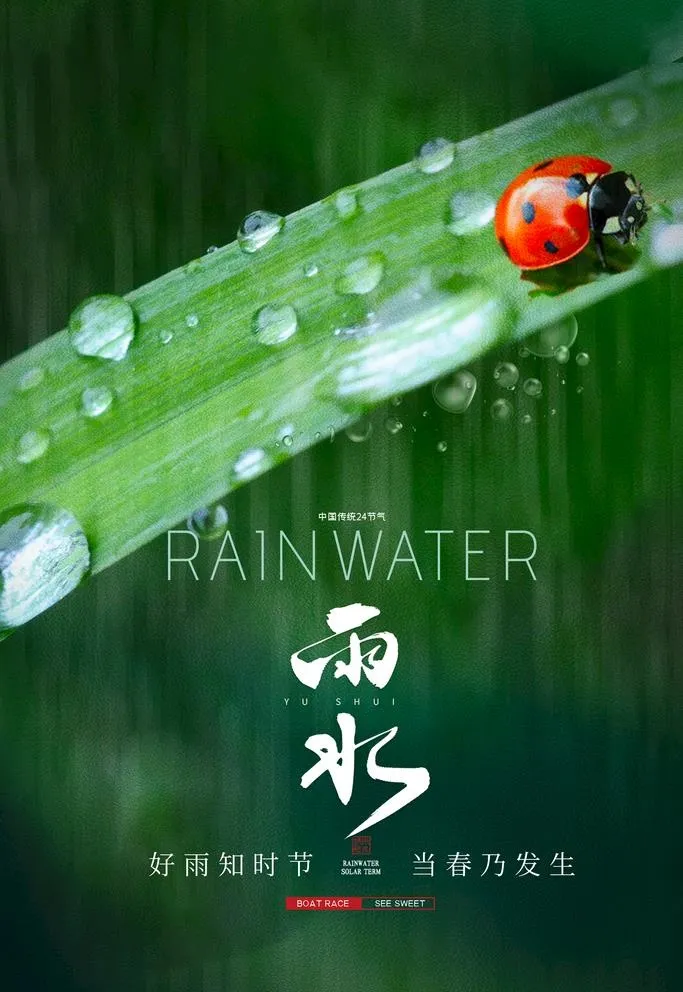 雨水图片(2362x3543)psd模版下载