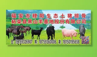 黑山羊海报图片