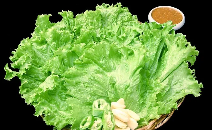 生菜图片