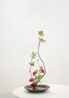 插花图片