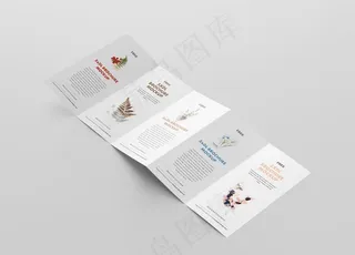 五折页样机图片