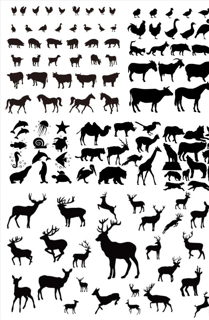 动物家禽剪影图片