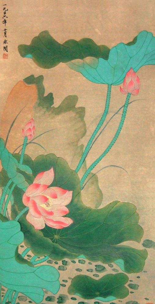 绿荷图片