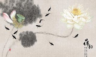 荷花背景墙图片