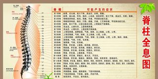 脊柱全息图图片