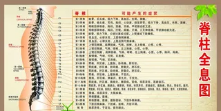 脊柱全息图图片