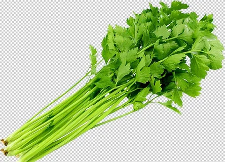 芹菜图片