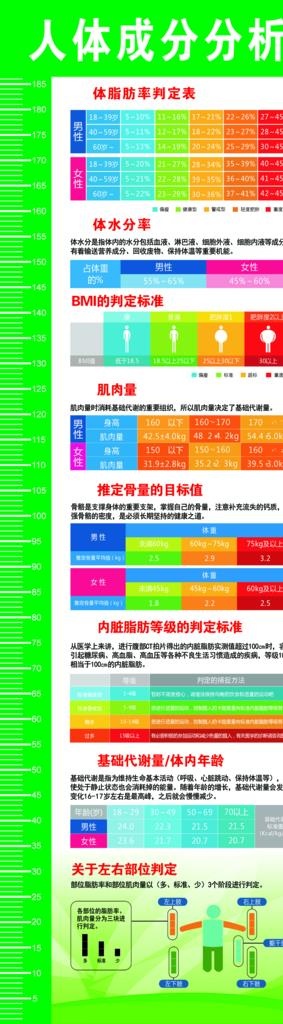 人体成分分析图片(2362x7677)psd模版下载