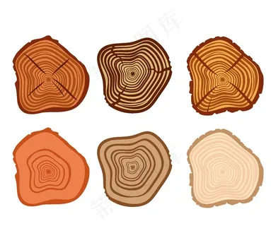 矢量树木年轮图片