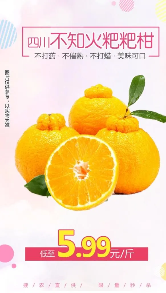四川不知火粑粑柑2斤推广图图片(600x1000)psd模版下载