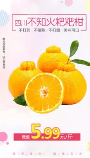 四川不知火粑粑柑2斤推广图图片
