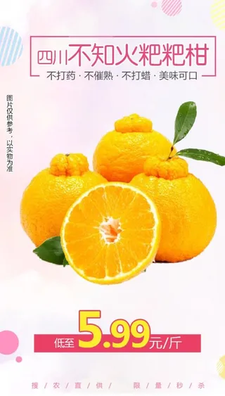 四川不知火粑粑柑2斤推广图图片