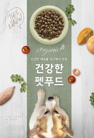 宠物 狗粮海报图片