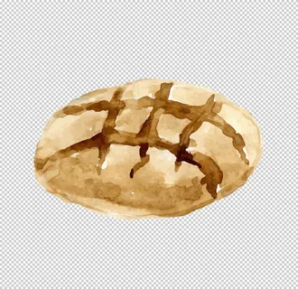 手绘面菜鸟图库片