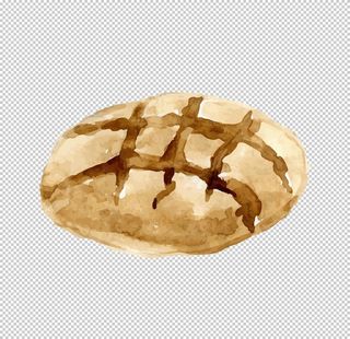 手绘面菜鸟图库片