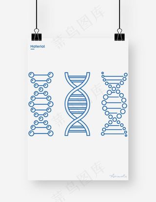 基因图片