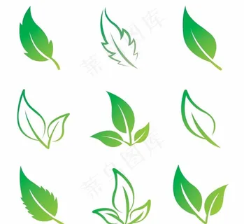 树叶 矢量 图标图片