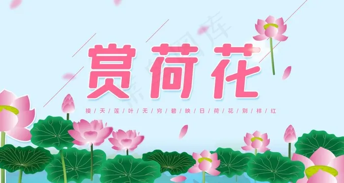 赏荷花图片psd模版下载