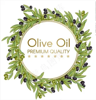 橄榄油图片