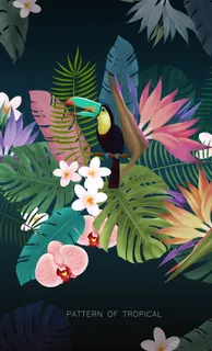 热带丛林植物插画图片