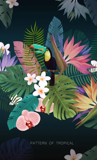 热带丛林植物插画图片