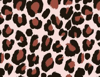 豹纹图片
