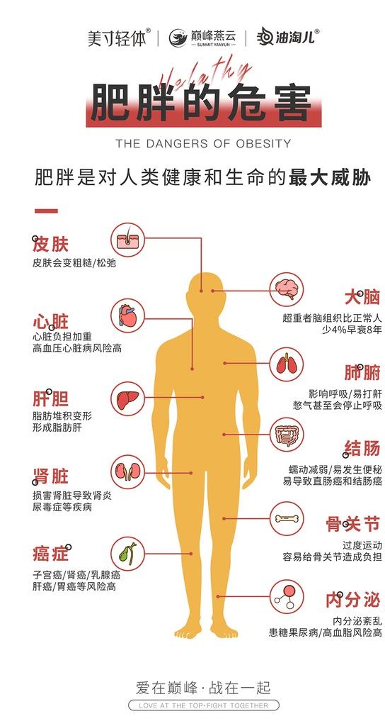 肥胖的危害,肥胖,穴位,减肥,危害,,设计