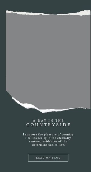 撕纸特效海报图片