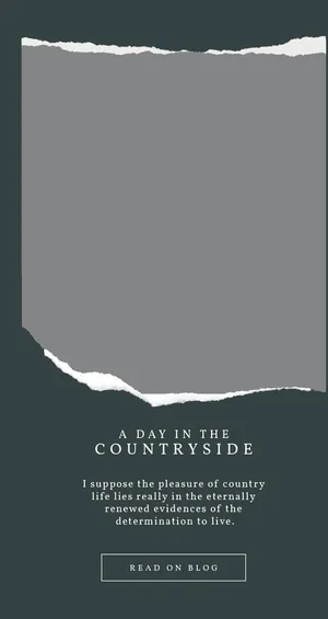 撕纸特效海报图片